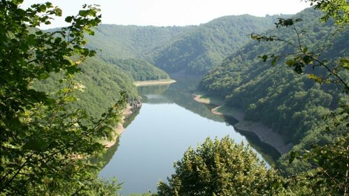 Rive de la Dordogne